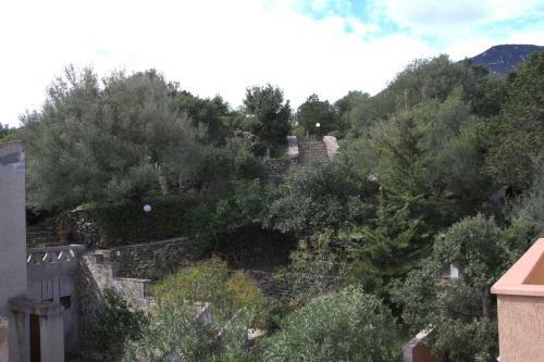 Apartment Palmasere's Beach