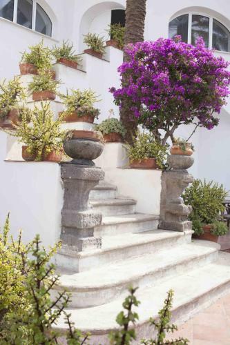 Eremo Di Montevergine Ischia Apartments