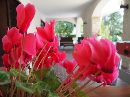 B&B Villa Filotea & Apartment