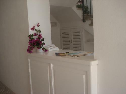 Hostel Salina