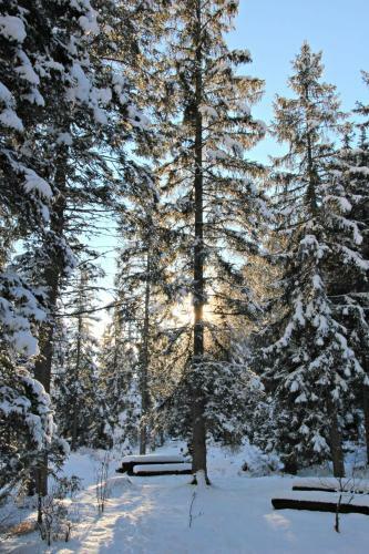 Hotel Petit Tournalin