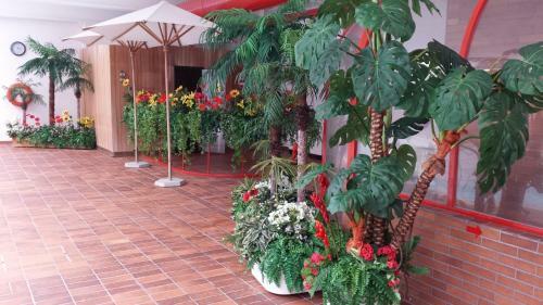 Hotel Garni Gonzaga