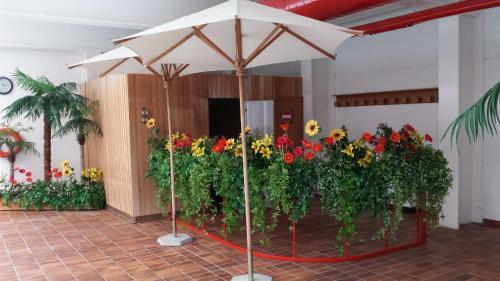 Hotel Garni Gonzaga