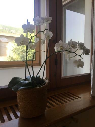 Bed & Breakfast Luna&limoni