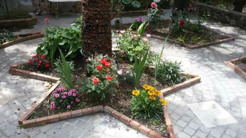La Baronessa B&B