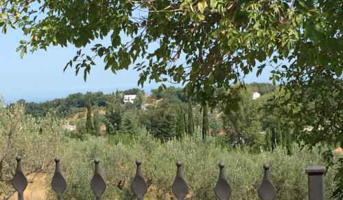 Agroturismo Sunflower