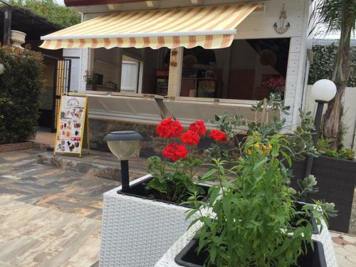 Bed & Breakfast Villa Conti