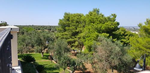 Agroturismo Serra Peccatori