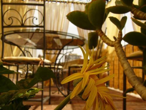 Bed & Breakfast Aci E Galatea