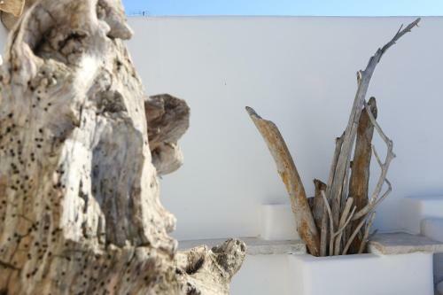 Bed & Breakfast Portadamare