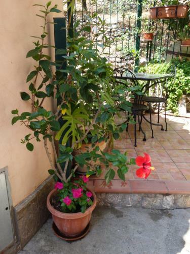 B&B Giulia