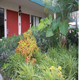 Hotel Home2suites By Hilton Anaheim Resort, Ca