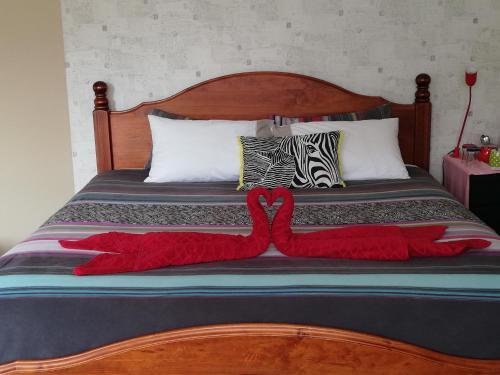 B&B Abundance