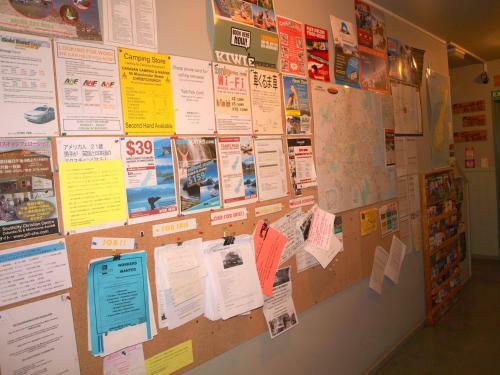 Kiwi House Hostel