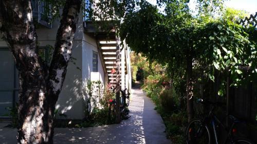 Kiwi House Hostel