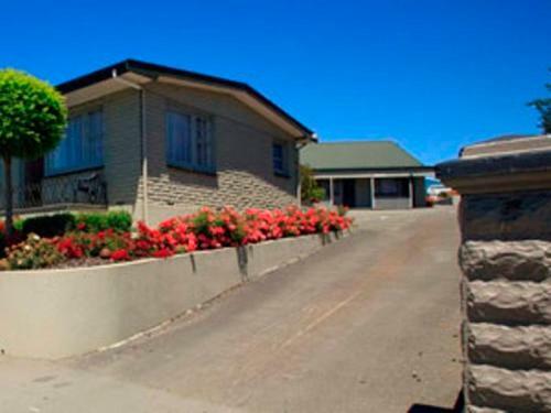 Blue Dolphin Motel