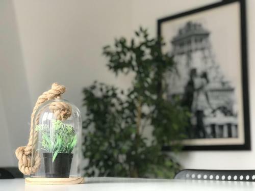 Lange Apartment