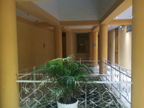 Hotel Hostal Vicu�a