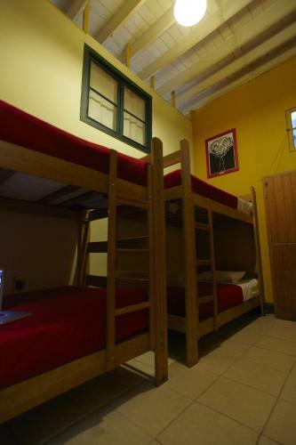Flying Dog Hostels - Backpackers