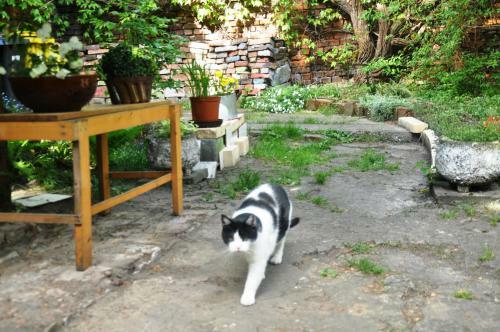 Apartament Krakowski