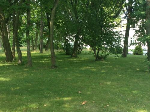 Lodge Zajazd Lipce