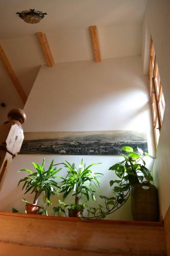 Villa Willa Schodnica