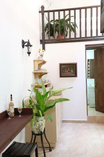 Apartamento Fortaleza Suites II