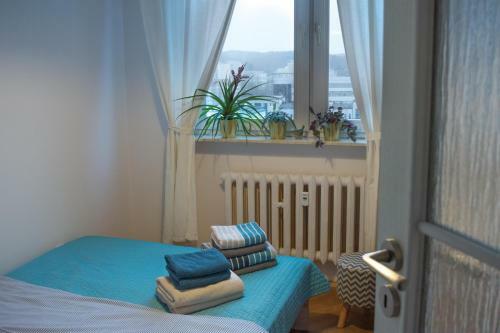 Apartament Widok�wka