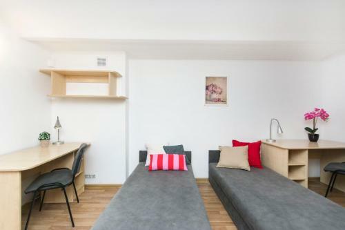 Albergue Akademikus Toru?
