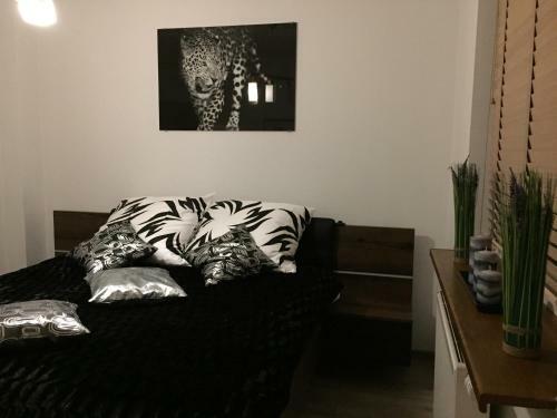 Apartamenty Balbina
