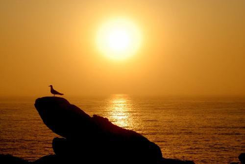 Hostal Enjoy Arr�bida Natural Park