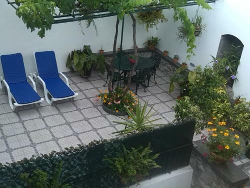 Maravilhas House