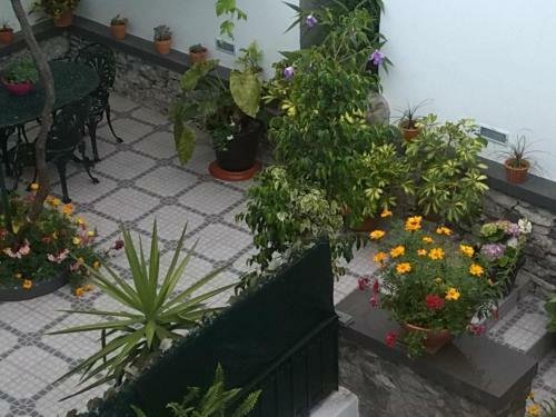 Maravilhas House