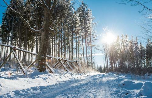 Apartamento Nov� Pec Holiday Resort Lipno