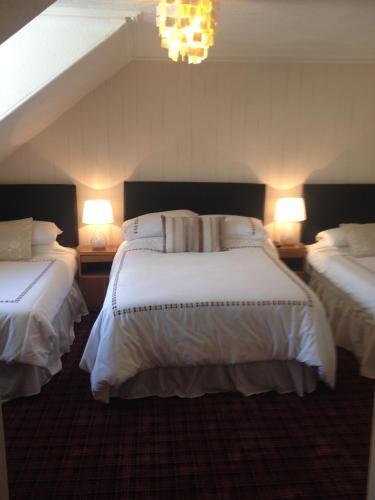 Hostal Cameron Guest House