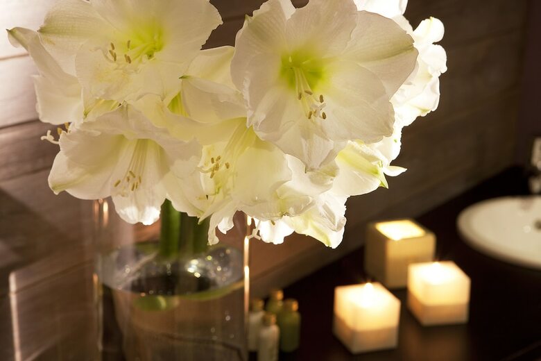 Hotel H�tel Le Colombier