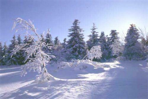 Hostal Wellness Pension Iveta
