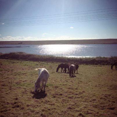 Agroturismo Swallows Rest