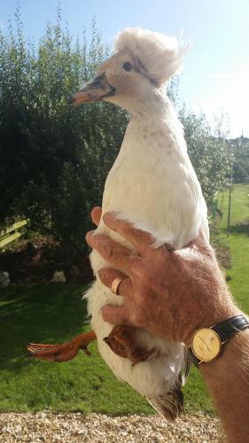 Agroturismo Swallows Rest