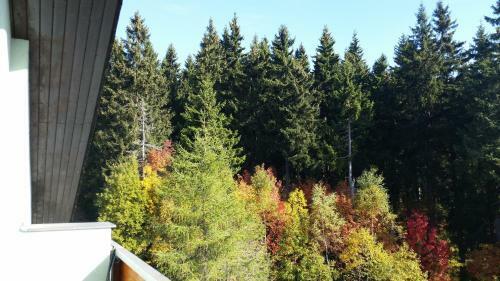Cihl�?sk� Bouda, Apartm�n 307