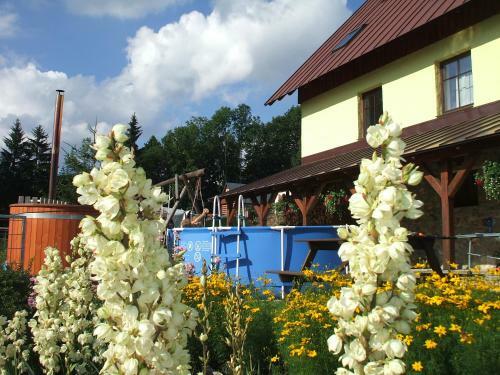 Apartments Ve?ern�k Rokytnice