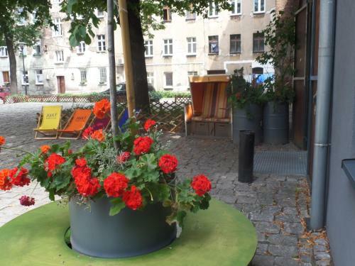 Hart Hostel & Art