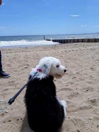 Bed & Breakfast Crossroads Hotel