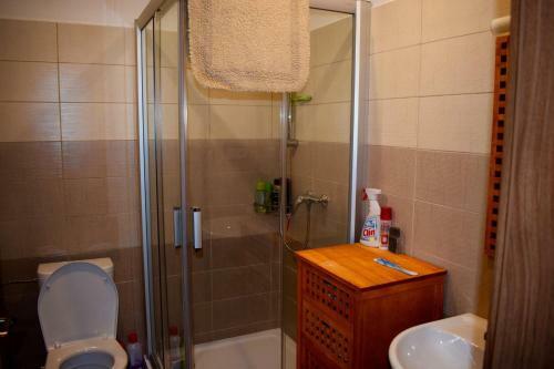 Hostal Penzion Chata Pod Sjezdovkou