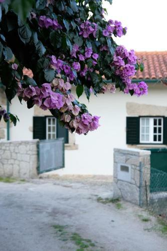 Casa Velha