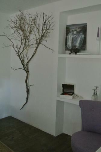 Bed & Breakfast Casas Do Contrabando
