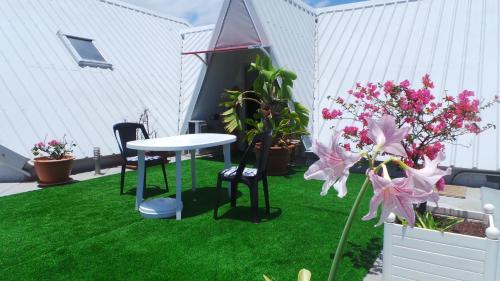 Hostal Entre Cocotiers Et Filaos