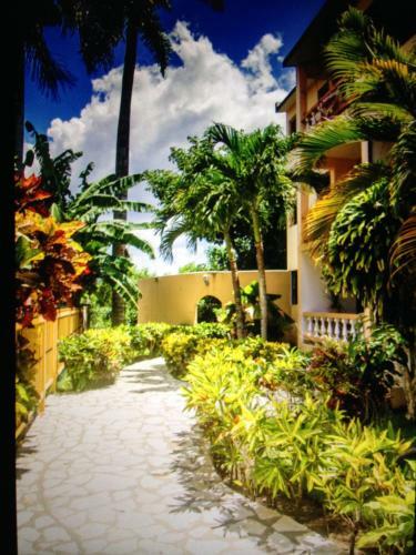 Cita Del Sol City Apartments