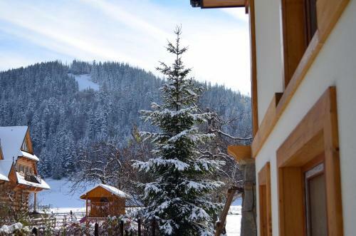 Bed & Breakfast Villa Nosal