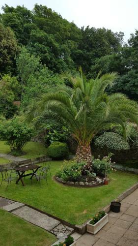 Bed & Breakfast Franklyn Guesthouse